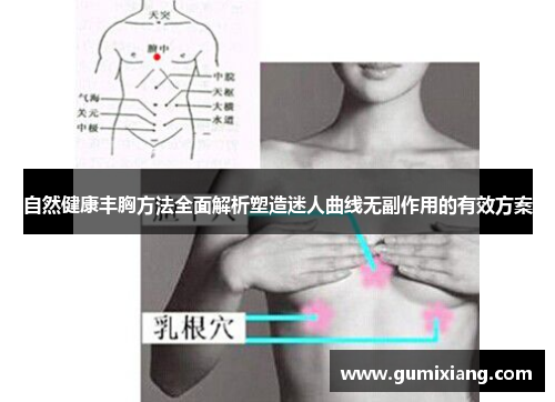 自然健康丰胸方法全面解析塑造迷人曲线无副作用的有效方案 自然健康丰胸方法全面解析塑造迷人曲线无副作用的有效方案