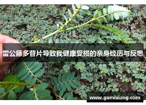 雷公藤多苷片导致我健康受损的亲身经历与反思