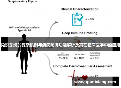 免疫系统的复杂机制与疾病防御功能解析及其在临床医学中的应用 免疫系统的复杂机制与疾病防御功能解析及其在临床医学中的应用