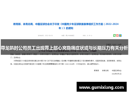 尊龙凯时公司员工出现胃上部心窝隐痛症状或与长期压力有关分析