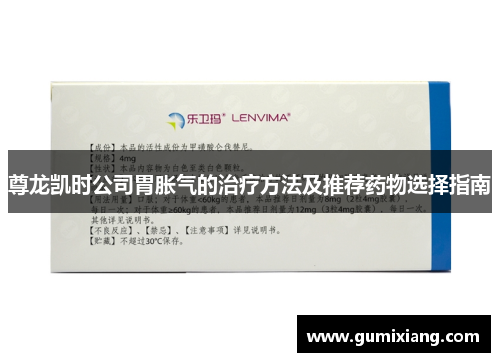 尊龙凯时公司胃胀气的治疗方法及推荐药物选择指南 尊龙凯时公司胃胀气的治疗方法及推荐药物选择指南