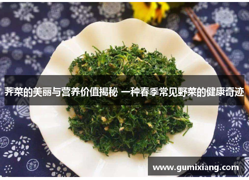 荠菜的美丽与营养价值揭秘 一种春季常见野菜的健康奇迹 荠菜的美丽与营养价值揭秘 一种春季常见野菜的健康奇迹