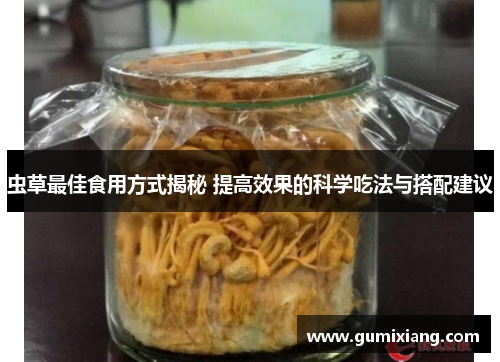 虫草最佳食用方式揭秘 提高效果的科学吃法与搭配建议